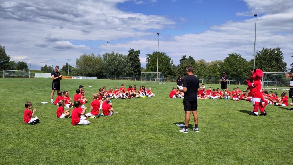 IMG_20250723_145617_klein