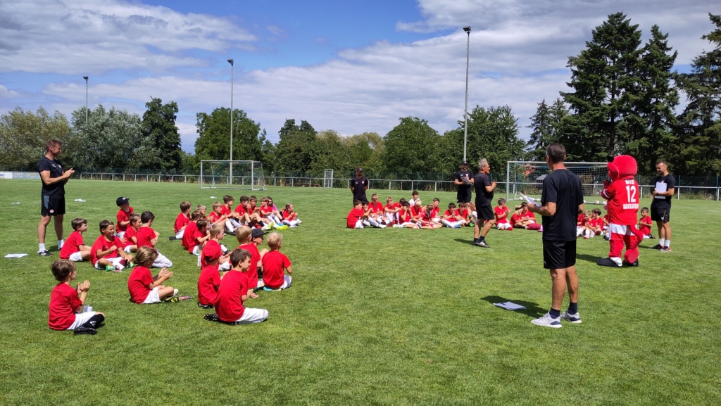 IMG_20250723_145624_klein