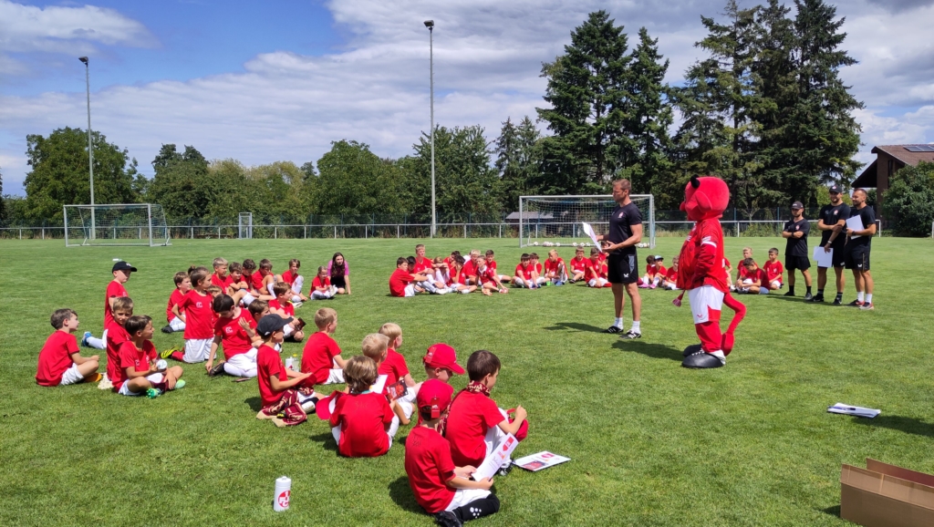 IMG_20250723_145920_klein